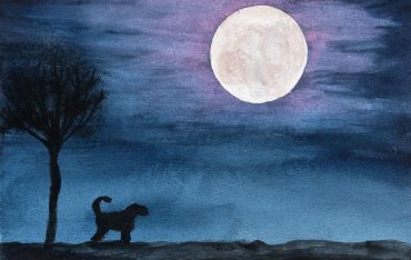 dog-in-the-moonlight.jpg